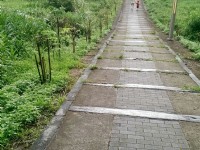 通往基國派教堂的步道<br/> 攝影：Eva隨手拍