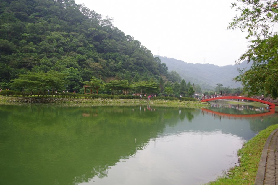 望龍埤 攝影：Eva隨手拍