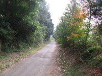 高原自行車道<br/> 攝影：Leon Tsai