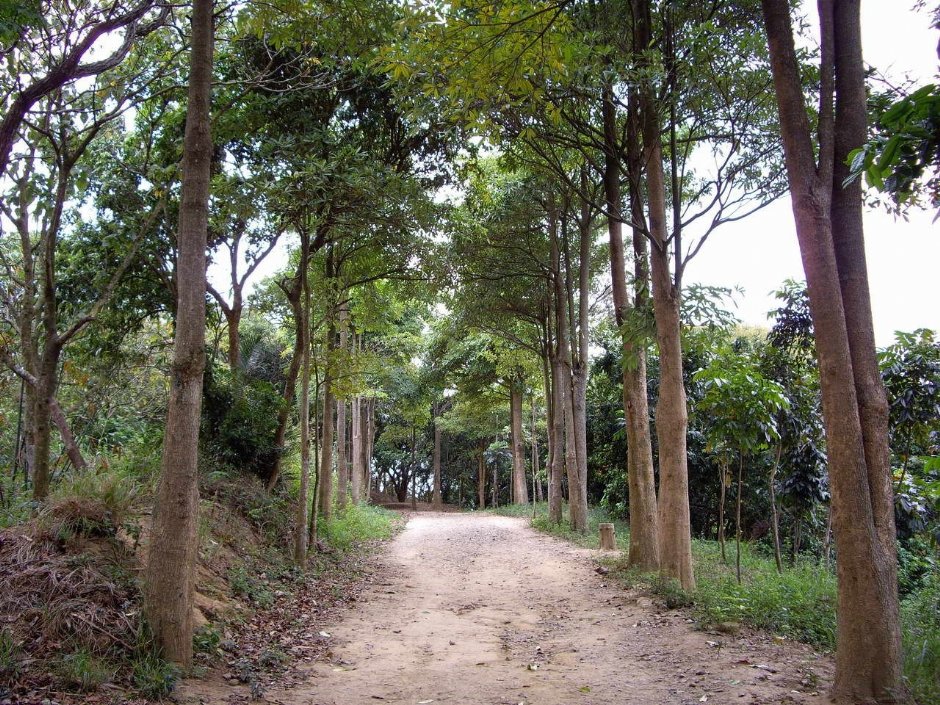 往三角点的步道 摄影：老山羊資訊網
