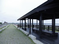 高美自行車道<br/> 攝影：eva 隨手拍