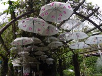 大坑休闲农场<br/> 摄影：旅遊王攝影組