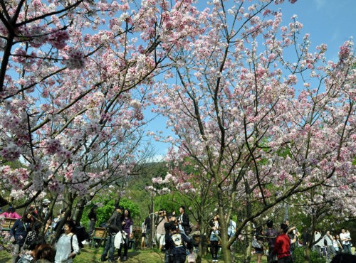 陽明山國家公園
