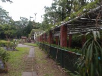 台北植物園<br/> 攝影：xcatx