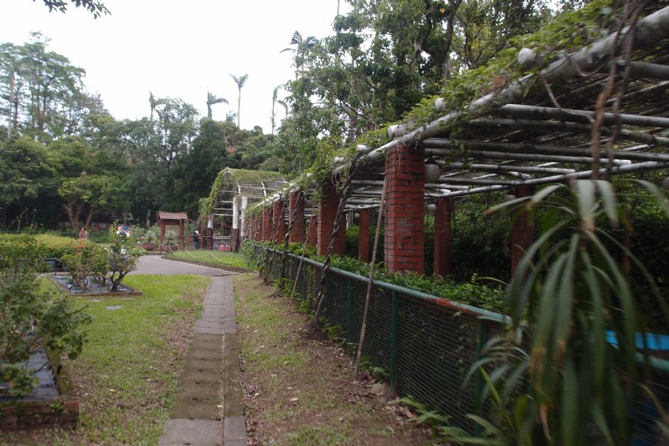 台北植物園 攝影：xcatx