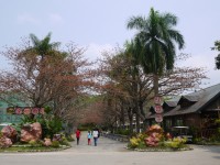 南元花園休閒農場<br/> 攝影：三井