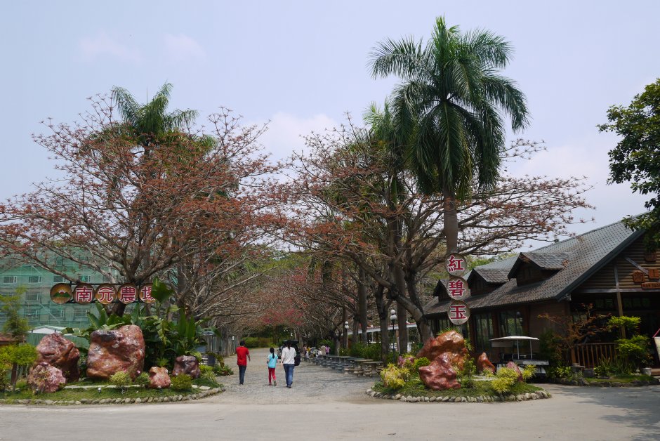南元花園休閒農場 攝影：三井