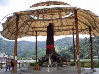 守護神<br/> 攝影：老山羊部落格