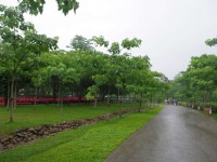 桐花樂活公園<br/> 攝影：Eva隨手拍