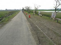 五分車自行車道<br/> 攝影：Eva隨手拍