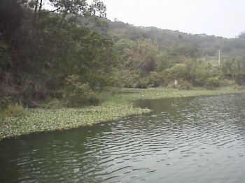 水庫邊 攝影：郭香妙