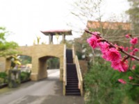園區景緻<br/> 攝影：火炎山溫泉渡假村 提供