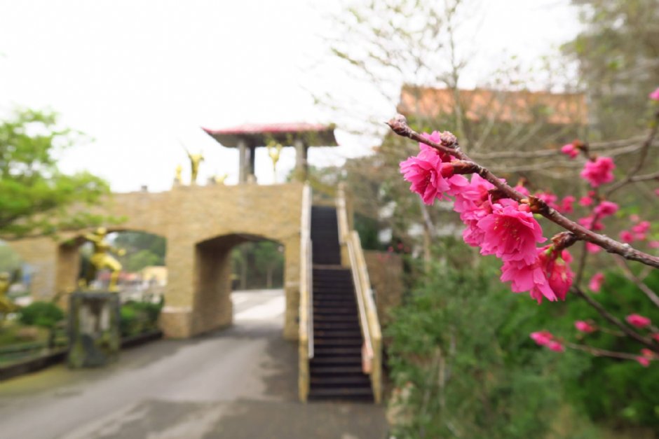 園區景緻 攝影：火炎山溫泉渡假村 提供