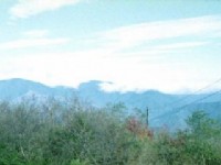 山色<br/> 攝影：呂玫瑢