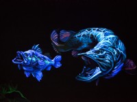 寶熊漁樂館<br/> 攝影：寶熊漁樂館 提供