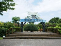 原生植物區<br/> 攝影：Eva隨手拍