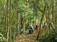 北線步道竹林與闊葉林<br/> 攝影：老山羊部落格