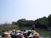 四草紅樹林綠色隧道<br/> 攝影：三井