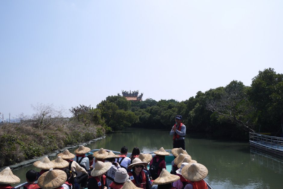 四草紅樹林綠色隧道 攝影：三井