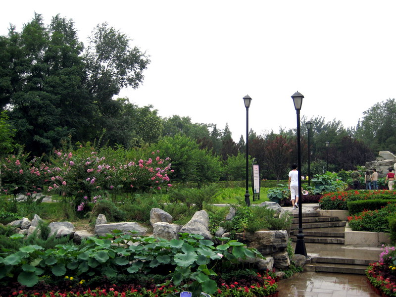 公園一景 攝影：方盛文