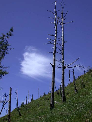 天空一抹雲 攝影：阿英的登山小站