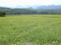 Photo:李棟梁