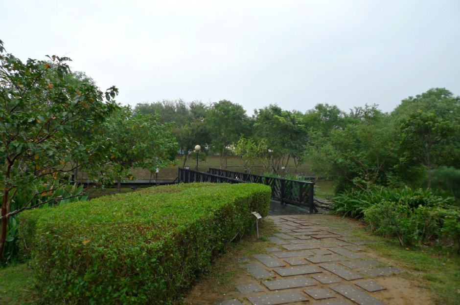 八德埤塘生態公園 攝影：Eva隨手拍