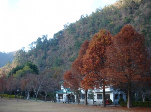 奧萬大國家森林遊樂區