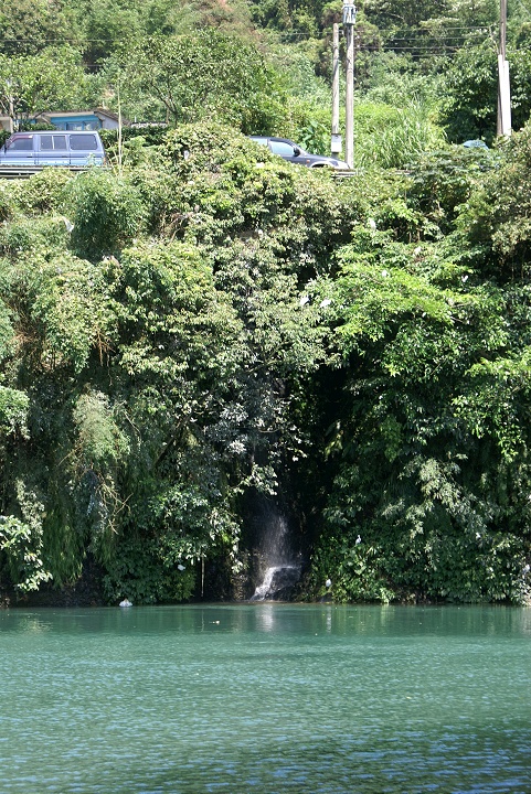 野生動物棲息處 攝影：Eva隨手拍