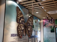 蝴蝶館<br/> 攝影：桃園市政府觀光旅遊局 提供