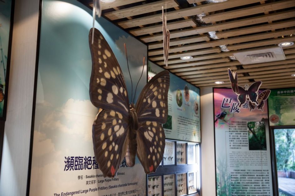 蝴蝶館 攝影：桃園市政府觀光旅遊局 提供