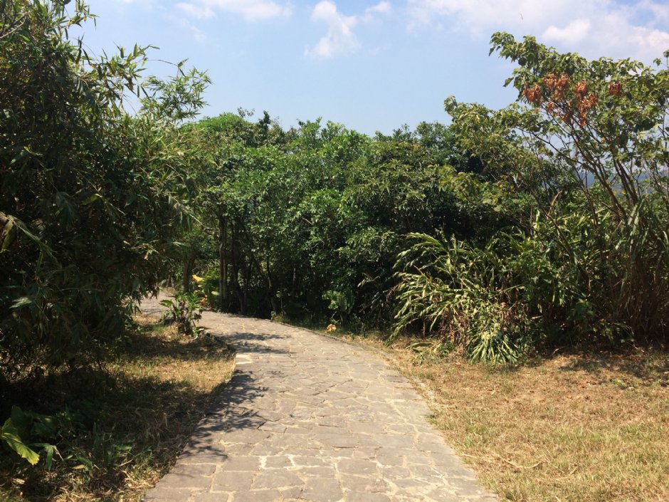 情人湖步道 攝影：Eva隨手拍