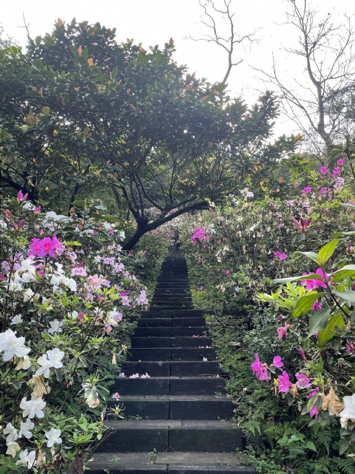 泰安瀑布 攝影：Eva隨手拍