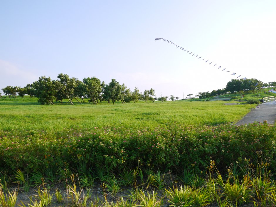 高雄都會公園 攝影：三個井