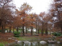 羅東運動公園<br/> 攝影：Eva隨手拍
