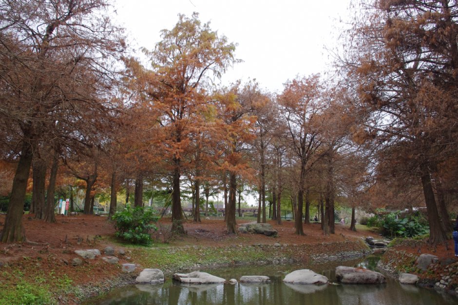 羅東運動公園 攝影：Eva隨手拍