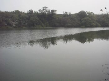 水波 攝影：郭香妙