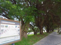 七星潭濱海自行車道<br/> 攝影：Eva隨手拍