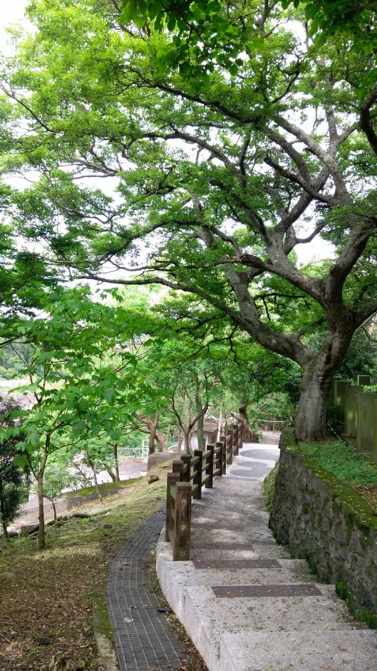貓貍山公園 攝影：Eva隨手拍