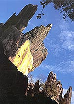 石林 攝影：四川旅遊信息網