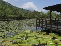蓮城蓮花園<br/> 攝影：圖片來源_花蓮縣觀光資訊網