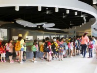 蟋蟀文化館<br/> 攝影：晁陽綠能園區 授權提供