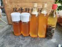 自產自銷的野蜂蜂蜜<br/> 攝影：瑞峰野蜂場 提供