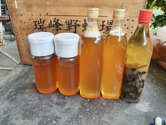 自產自銷的野蜂蜂蜜 攝影：瑞峰野蜂場 提供