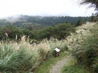 七星山主峰步道<br/> 攝影：Lu