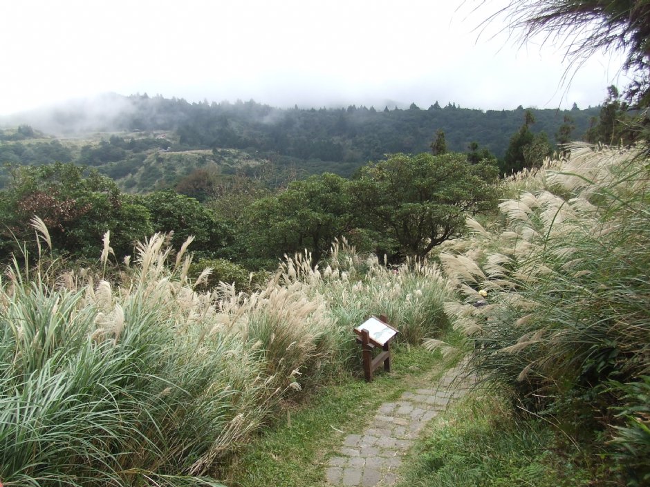 七星山主峰步道 攝影：Lu