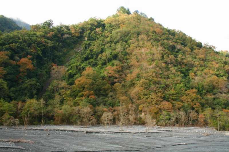 奧萬大溪北岸景觀 攝影：老山羊部落格