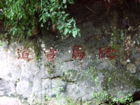 跑馬古道<br/> 攝影：Eva隨手拍