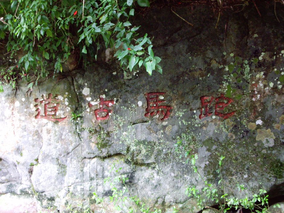 跑馬古道 攝影：Eva隨手拍