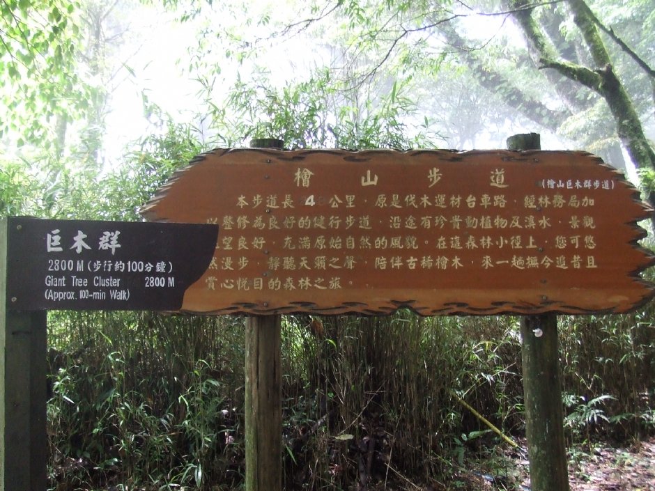 檜山巨木群步道 攝影：Lu